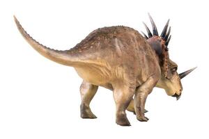 styracosaurus dinosaurio en aislado antecedentes foto