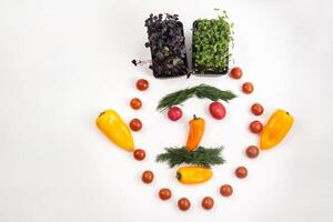 The face of a man made of sliced vegetables on a white background photo