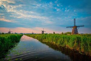 Windmills at Kinderdijk in Holland. Netherlands photo