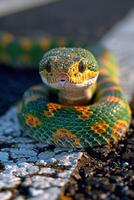 AI generated A snake crawls across a pedestrian crossing on the street photo
