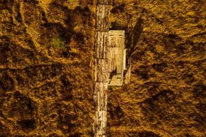 An aerial view of an autumn bog in Yelnya, Belarus, autumn. Ecosystems ecological problems climate change photo