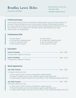 Business Finance Resume ATS template