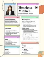 Business Technology Resume CREATIVE ATS template