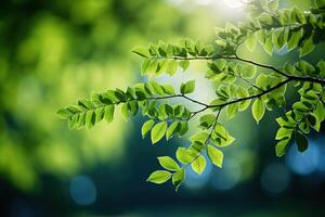 AI generated Green tree leaves in sunlight with bokeh in the background. Generated by artificial intelligence photo