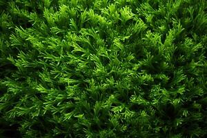 AI generated Texture of green thick lawn, horizontal background. Generated by artificial intelligence photo