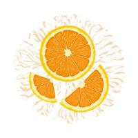 Vector illustration of a colorful orange, half and slices. Hand drawn. Isolated on white background.