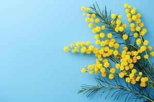 AI generated beautiful yellow mimosa flower on a light blue background, floral frame with copy space photo