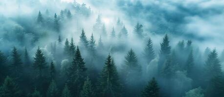 ai generado místico bosque en el niebla antecedentes. aéreo perspectiva vista. foto