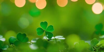 AI generated Clover Shamrocks, golden coins and bokeh. Festive image for St. Patrick's day. Generative AI. photo