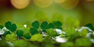 AI generated Clover Shamrocks, golden coins and bokeh. Festive image for St. Patrick's day. Generative AI. photo