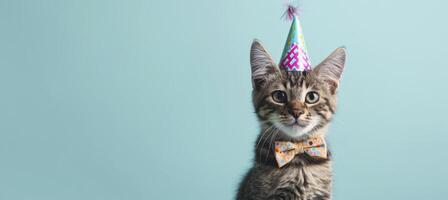 ai generado celebracion, contento cumpleaños, Sylvester nuevo años víspera fiesta, gracioso animal saludo tarjeta - linda pequeño gato mascota con fiesta sombrero y arco Corbata en azul pared antecedentes textura foto