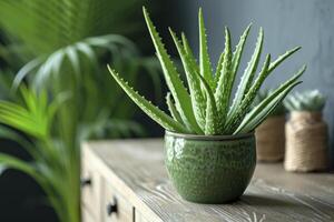 AI generated Green aloe vera in pot on chest of drawers indoors photo