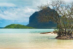 playa y montaña en le morne-brabant.coral arrecife de el isla de Mauricio foto