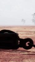 A rusty metal hook on a vibrant red dirt road video