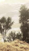 un sereno paisaje con arboles en un ladera cubierto en lozano verde césped video