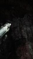 luz de sol transmisión dentro un místico cueva, creando un fascinante volumen de ligero video