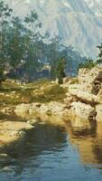 ein malerisch Berg Landschaft mit ein fließend Strom im das Vordergrund video