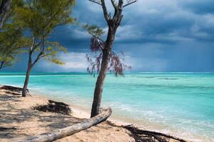 Le Morne beach on the island of Mauritius in the Indian Ocean before a thunderstorm photo