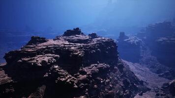 majestueux triomphe, conquête le ardent cramoisi hauteurs video