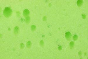 Green texture cellulose foam sponge. Background. photo