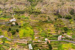 parte superior ver de el montañas en el isla de la gomera, canario islas, españa.hermosa paisaje de homero isla foto