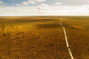 un aéreo ver de un otoño pantano en yelnya, bielorrusia, otoño. ecosistemas ecológico problemas clima cambio foto