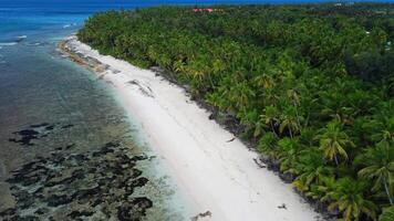 Malediven Insel Ozean Küste mit tropisch Strand mit Palmen. Antenne Drohne Aussicht video