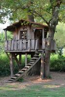 AI generated Cute little tree house for kids in the forest photo