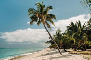 Beautiful beach, palm trees, and clouds on the horizon. Africa, Mauritius, South, near Le Morne photo