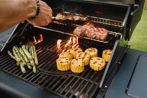 Cooking meat and vegetables on an outdoor grill photo