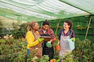 Happy multiracial women working together in plants and flowers garden shop photo