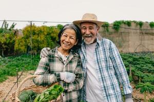 Happy Asian senior farmers smiling at the camera while working in agricultural land - Farm people lifestyle concept photo