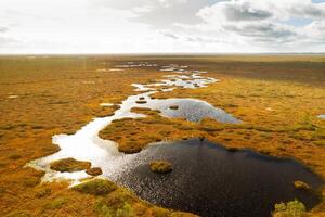 un aéreo ver de un otoño pantano en yelnya, bielorrusia, otoño. ecosistemas ecológico problemas clima cambio foto