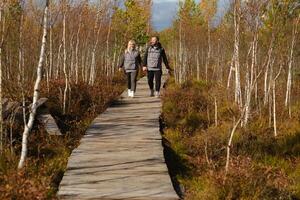 dos turistas caminar a lo largo un de madera camino en un pantano en yelnya, bielorrusia foto