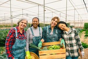 Happy multiracial women farmers working inside greenhouse - Farm people cooperative concept photo