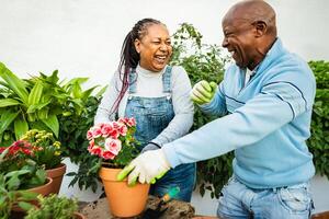 Happy African senior people gardening together outdoor photo