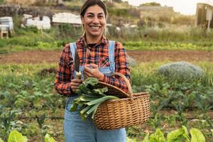 contento hembra granjero trabajando en campo participación Fresco vegetales cesta - granja personas estilo de vida concepto foto