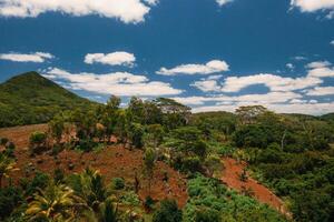 Aerial view of mountains and fields in Mauritius island. photo