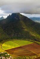 ver desde el altura de el sembrado campos situado en el isla de Mauricio foto