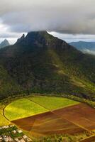 View from the height of the sown fields located on the island of Mauritius photo