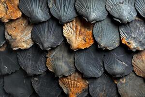 AI generated Textures of antique Shells in stone. Wallpaper background photo