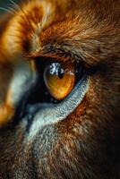 AI generated Close-up of a young lioness's face and eyes photo