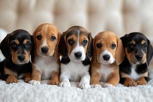 AI generated Portrait of a beagle dog on the couch photo