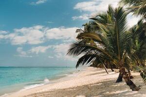 Beautiful beach, palm trees, and clouds on the horizon. Africa, Mauritius, South, near Le Morne. photo