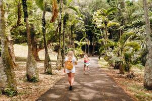 Tourists walk along the avenue with large palm trees in the Pamplemousse Botanical Garden on the island of Mauritius photo