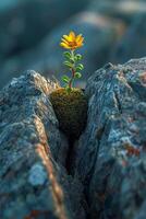 AI generated The sprout of the future tree makes its way through the rocky surface in the mountains. The concept of life and growth, despite the difficulties photo