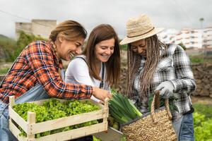 Multiracial female farmers working in countryside holding wooden basket containing fresh vegetables - Farm people lifestyle concept photo