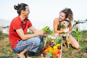 contento Pareja con su perro reunión Fresco frutas y vegetales desde su jardín casa. granjero joven personas a trabajo cosecha arriba orgánico vegetariano alimento. agricultura, saludable, vegetariano estilo de vida foto