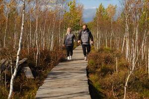 dos turistas caminar a lo largo un de madera camino en un pantano en yelnya, bielorrusia foto