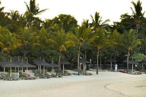 Beach and resort on the east coast of Mauritius photo